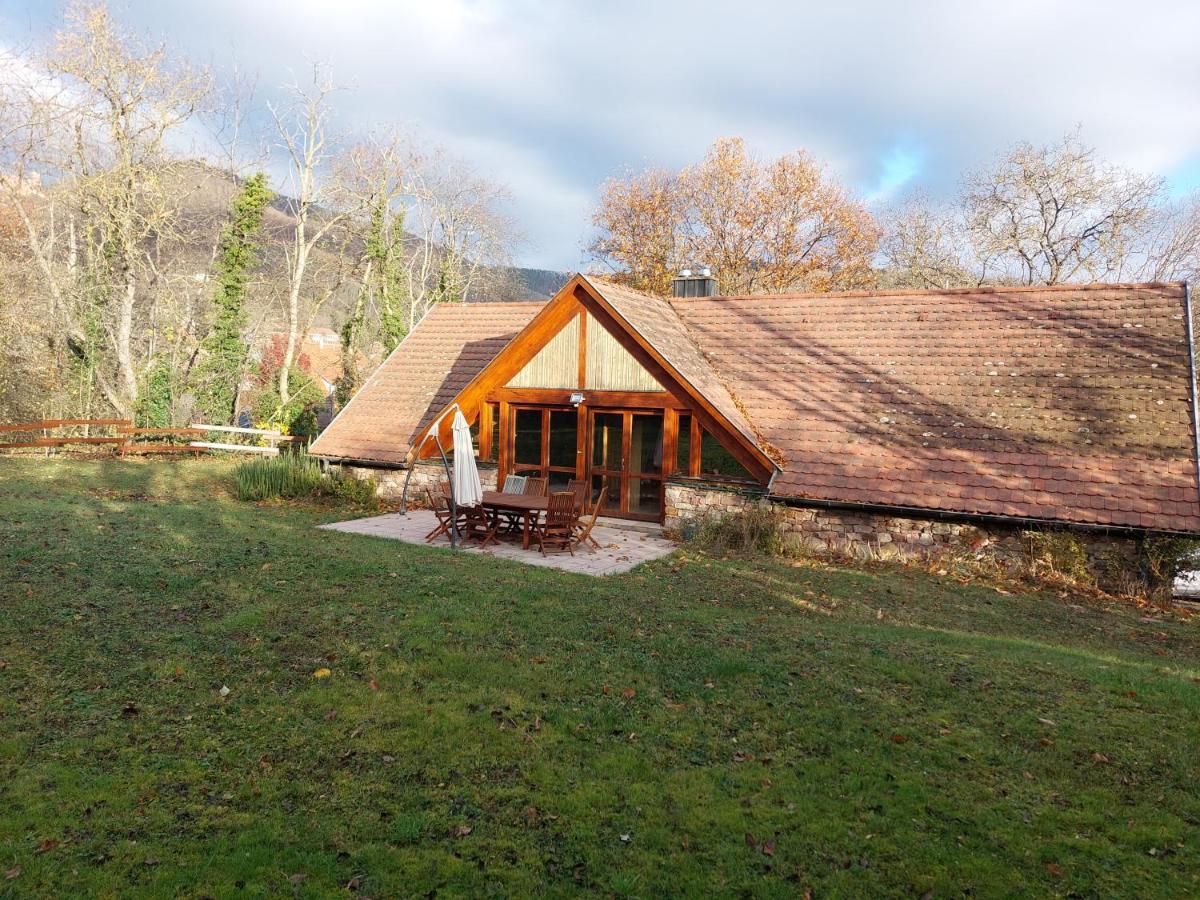 La Canopee Alsacienne - Magnifique Maison A Ribeauville Екстер'єр фото