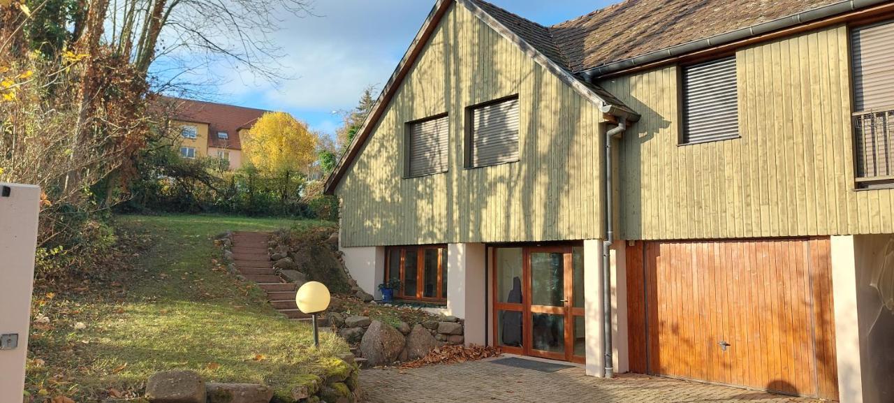 La Canopee Alsacienne - Magnifique Maison A Ribeauville Екстер'єр фото
